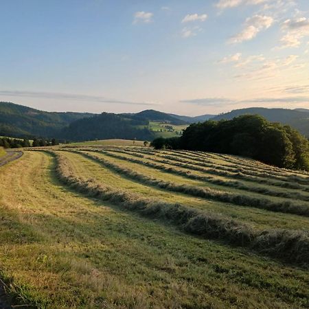 Hausamaarbach Willingen  Exterior foto
